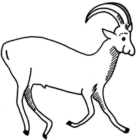 Sable Antelope From Cartoon Antelopes Coloring Page